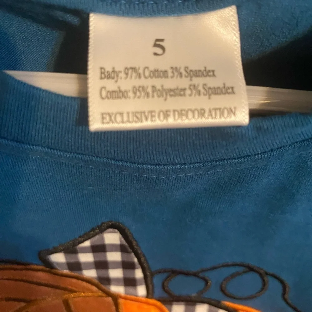 New Pumpkin Outfit - size‎ 5